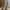 Outer Bordir photo 4