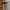 Outer Bordir photo 3