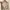 sanrina top nude photo 1