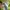 ZARA Vintage Y2K Cardigan Wanita green photo 4