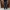 APC Selvedge APC - APC New Standard Jean Classique photo 2