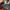 APC Selvedge APC - APC New Standard Jean Classique photo 7