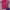 Guess Halfzip Polo T-Shirt photo 1
