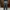 Edwin Second Denim - Edwin International Basic Denim Second photo 1