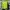 FUFFER JACKET FULL ZIP HOODIE EVGS- 52 photo 4