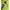 FUFFER JACKET FULL ZIP HOODIE EVGS- 52 photo 6