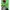 FUFFER JACKET FULL ZIP HOODIE EVGS- 52 photo 7