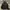 FUFFER JACKET FULL ZIP HOODIE EVGS- 52 photo 2