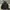 FUFFER JACKET FULL ZIP HOODIE EVGS- 52