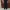 Long Pants Second - WorkCraft Long Pants photo 3