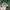 realtree cap by remington official  photo 3