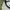 realtree cap by remington official  photo 5