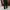 Double Knee - Factorie Double Knee Second photo 3