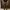 Cargo Japan Brand - Japanese Brand Double Focus Cargo Second