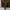 Cargo Japan Brand - Japanese Brand Double Focus Cargo Second photo 3