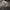 Cargo Japan Brand - Japanese Brand Double Focus Cargo Second photo 8
