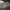 Cargo Japan Brand - Japanese Brand Double Focus Cargo Second photo 7