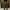 Cargo Japan Brand - Japanese Brand Double Focus Cargo Second photo 1