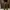 Cargo Japan Brand - Japanese Brand Double Focus Cargo Second