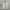 Hush Puppies Track Jacket Relaxed Lightweight photo 1