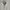 Hush Puppies Track Jacket Relaxed Lightweight photo 2