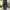 Dickies genuine double knee single pacth photo 2