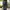 Dickies Genuine Double Knee Single Pacth