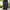 Dickies Genuine Double Knee Single Pacth