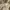 Hush Puppies Track Jacket Beige photo 6