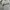 Sportswear Minimalist Sweatshirt Pria gray photo 2