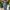 CELANA CARGO BALOON GU UNIQLO BAGGY JOGER PANTS photo 3