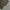 Lepsim Cargo relaxed longpants olive green, Loose Fit photo 8