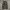 Lepsim Cargo relaxed longpants olive green, Loose Fit photo 7