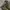 Lepsim Cargo relaxed longpants olive green, Loose Fit photo 6