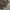 HBT Millitary Fatigue longpants olive green, Regular

Straig photo 8