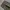 HBT Millitary Fatigue longpants olive green, Regular

Straig photo 4