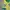Brazil jersey copa america 2024 - Player issue photo 3