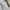 Gorpcore Emo Wanita white black photo 7