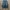 jorts y2k big pocket photo 5