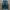 jorts y2k big pocket photo 2