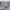 Xerobnr Grey Sweat Baggy Pants photo 6