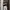 Xerobnr Grey Sweat Baggy Pants photo 3