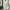Xerobnr Grey Sweat Baggy Pants photo 5