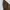 Bellide Sweatpants Brown Cookies photo 6
