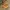 Timberland yellow boots iconic photo 5