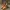 Timberland yellow boots iconic photo 4