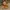 Timberland yellow boots iconic photo 6