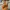Timberland Yellow Boots Iconic