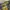 IF SIX WAS NINE Y2K Flare pants Wanita multicolor photo 7