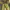 IF SIX WAS NINE Y2K Flare pants Wanita multicolor photo 3